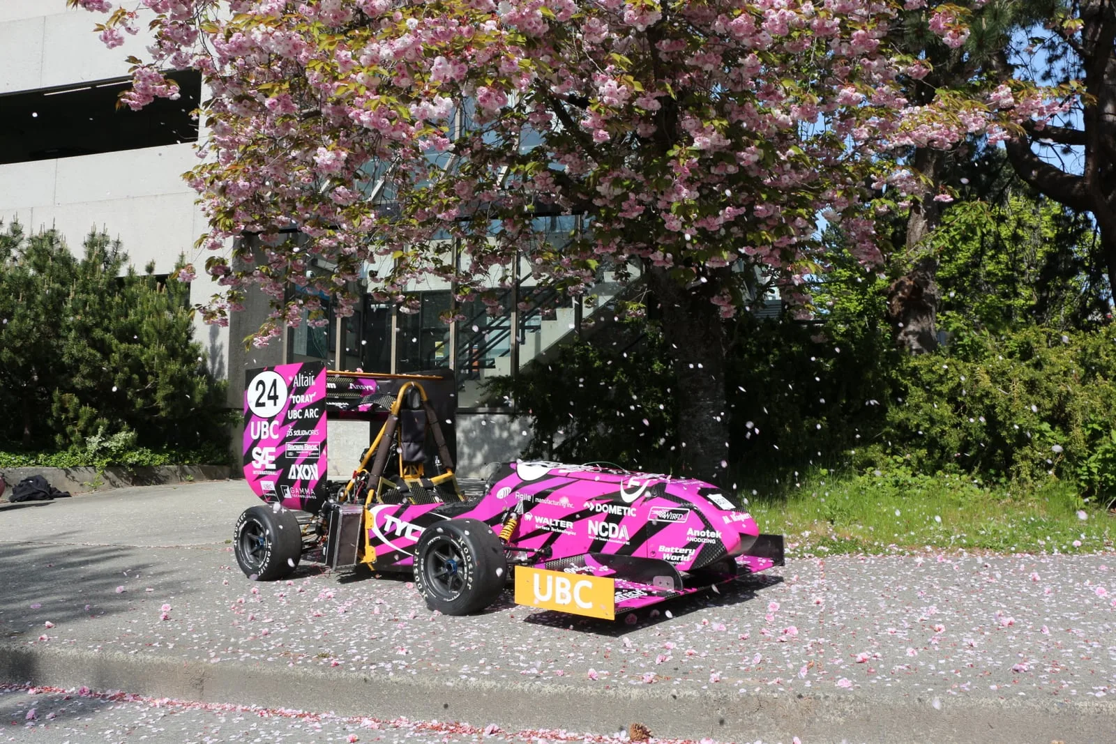 Pink car #24 under cherry blossoms
